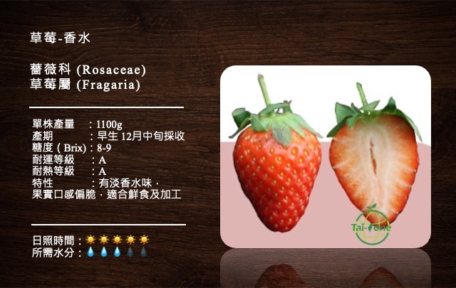 草莓-香水