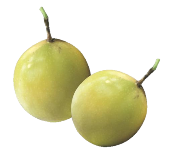 黃金百香果 - Golden passion fruit 黃金百香果 - Golden passion fruit