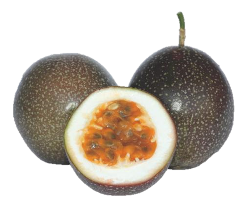 滿天星 - Starry passion fruit 滿天星 - Starry passion fruit